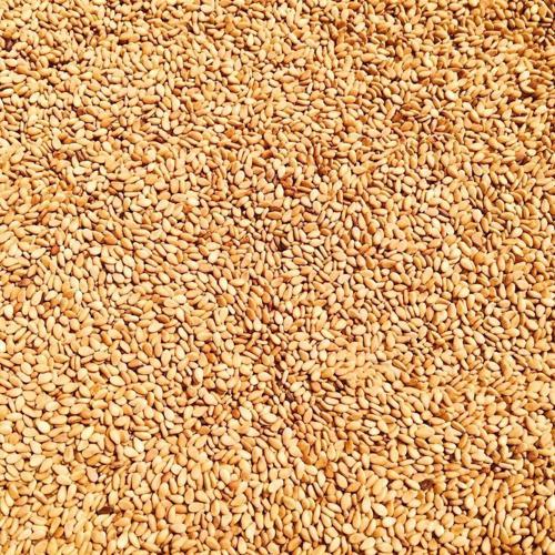 Dökme Baharat Kavrulmuş Susam - 250 gr