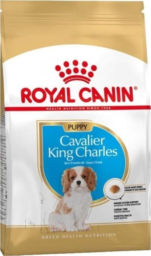 Cavalier King Charles Junior Yavru Köpek Maması 1,5 kg