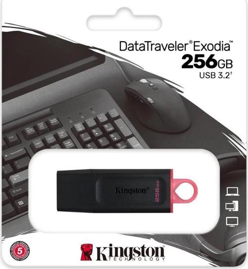 Kingston USB BELLEK 256GB