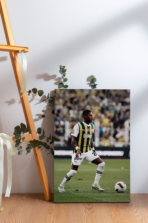 35 Fred Fb Futbolcu Kanvas Tablo