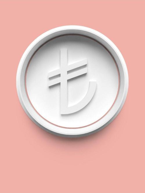 Türk Lirası Para Birimi Figürü Kurabiye Kalıbı Ve Şeker Hamuru Kalıbı