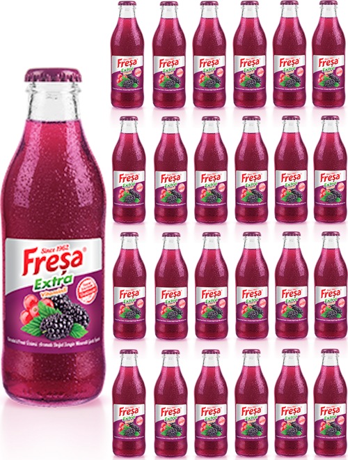 Extra Karadut Frenk Üzümü Mineralli Gazlı İçecek 200 ml x 24 Adet