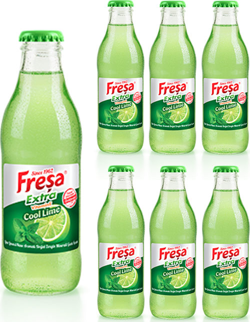 Extra Lime Limon & Nane Aromalı Mineralli Gazlı İçecek 200ml x 6 Adet