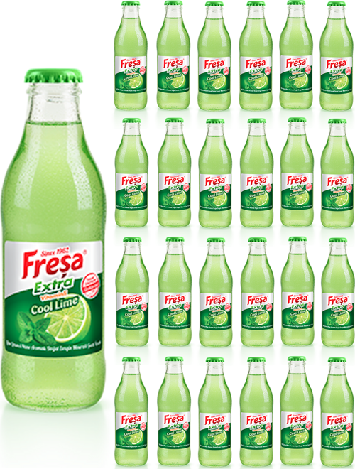 Extra Lime Limon & Nane Aromalı Mineralli Gazlı İçecek 200ml x 24 Adet