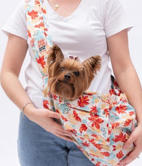 Ottawa Crossbody Küçük Irk Köpek Çapraz Taşıma Çantası