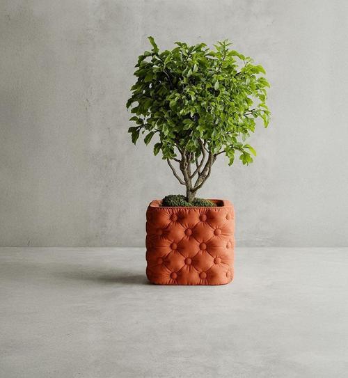 Kapitone Desenli Modern Saksı