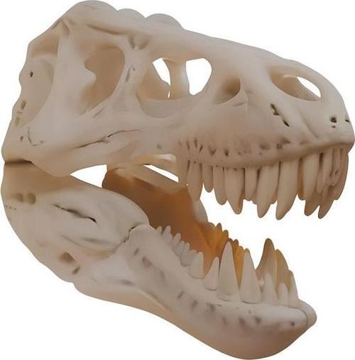 T-Rex Kafası Duvar Dekoru