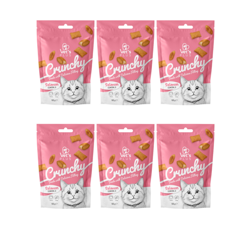 Crunchy Somonlu ve Catnipli Kedi Ödül Maması 60gr (6 Adet)