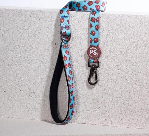 Bears Köpek Gezdirme Kayışı 120 cm x 2 cm