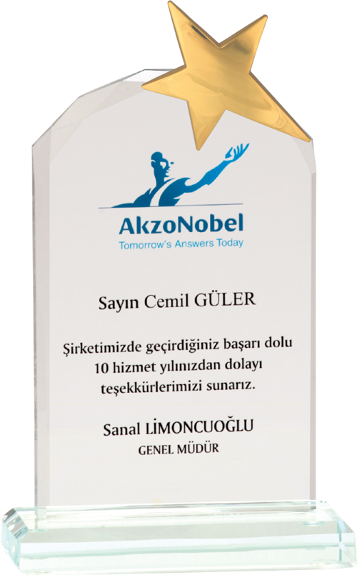- Cam Plaketler - CM-006 A - 12x20 cm