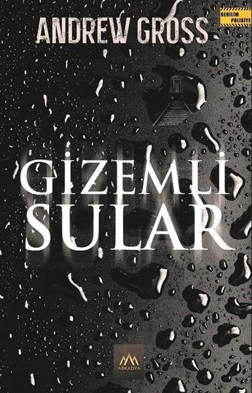 Arkadya Yayınları Gizemli Sular