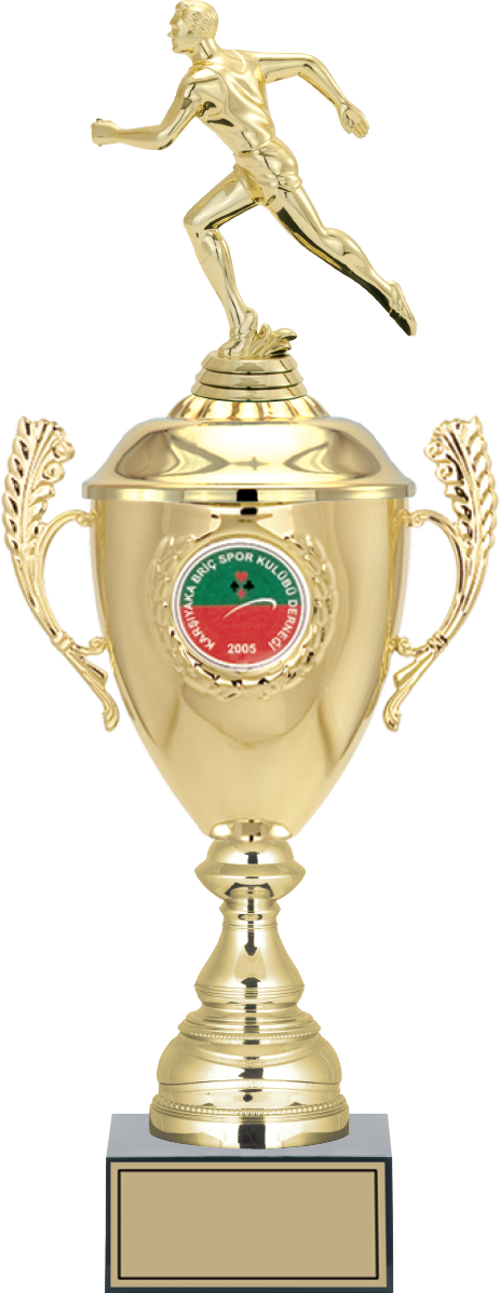 - Figürlü Kupalar - Atletizm Erkek Figürlü Kupalar FG-080 C - 48 cm