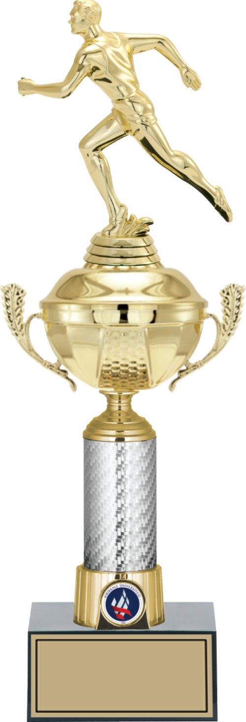 - Figürlü Kupalar - Atletizm Erkek Figürlü Kupalar FG-058 C - 41 cm