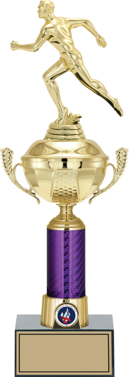 - Figürlü Kupalar - Atletizm Erkek Figürlü Kupalar FG-060 C - 41 cm