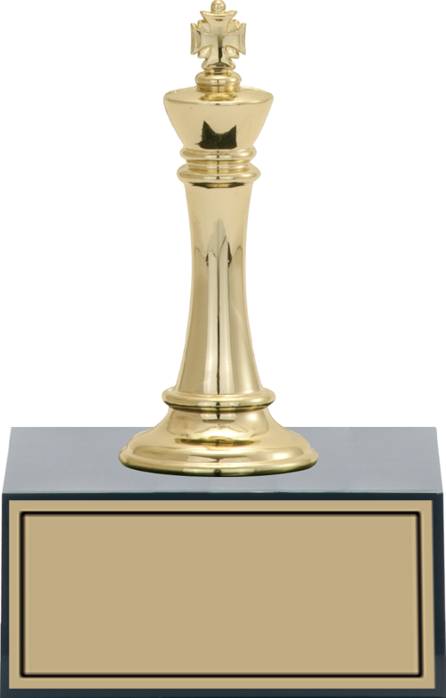 - Figürlü Kupalar - Satranç Figürlü Kupalar FG-001 C - 14 cm