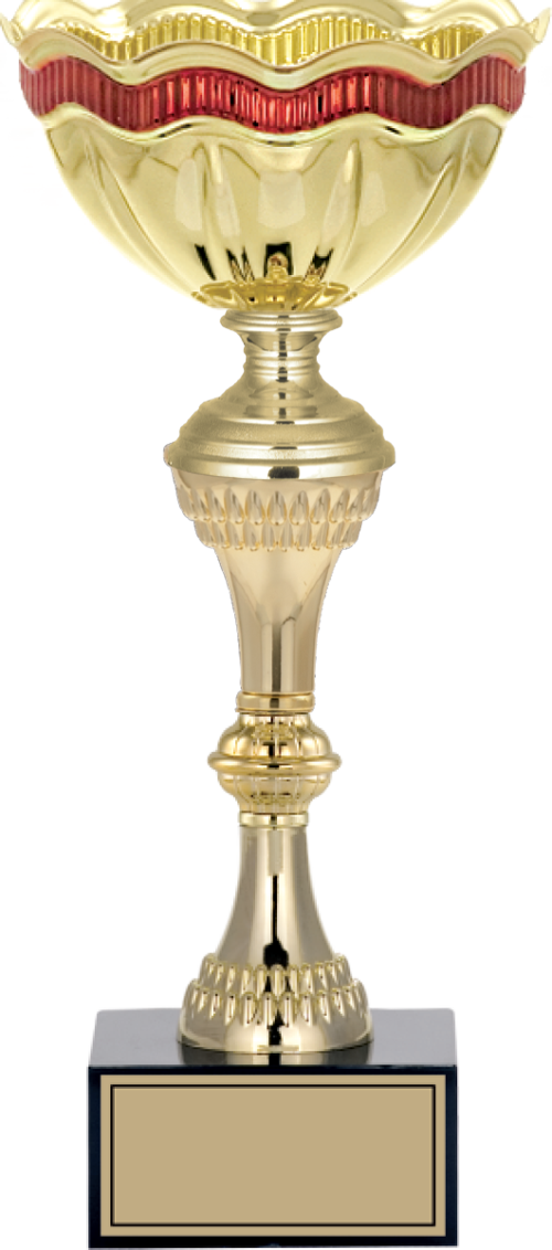 - X Large Kupalar - XL-008 C - 31 cm