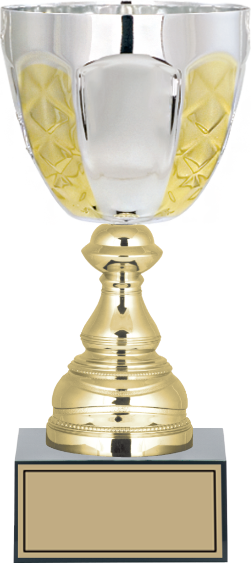 - X Large Kupalar - XL-049 C - 26 cm