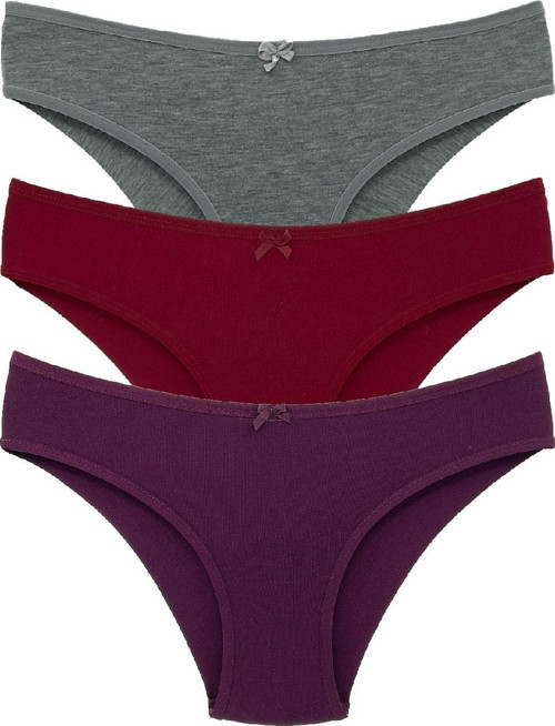 3'Lü Pamuklu Arkası Çift Kat Dikişsiz Bikini Kadın Külot