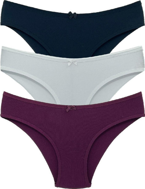 3'Lü Pamuklu Arkası Çift Kat Dikişsiz Bikini Kadın Külot
