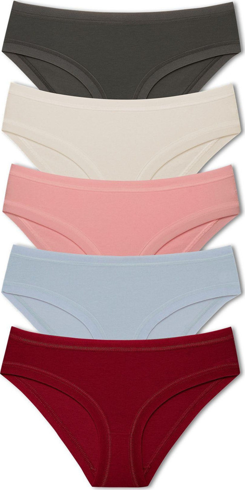 5'Li Pamuklu Bel Ve Paça Lastikli Slip Kadın Külot