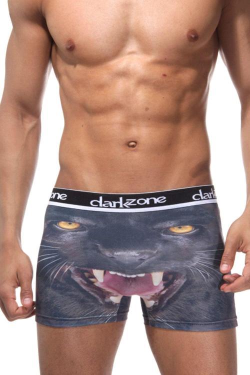 Vahşi Kurt Desenli Erkek 3D Baskılı Boxer
