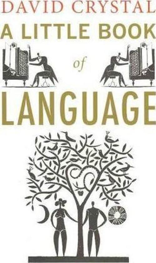 A Little Book of Language (Little Histories)