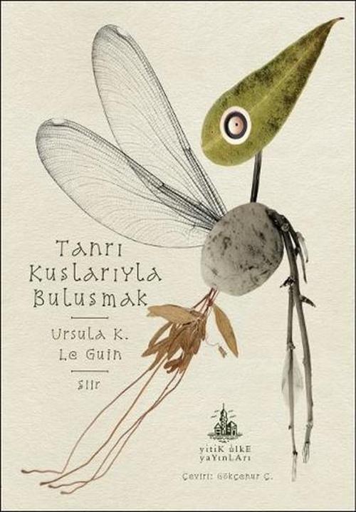 Tanrı Kuşlarıyla Buluşmak