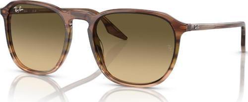 RB 2203 13920A 55 Ray-Ban Güneş Gözlüğü