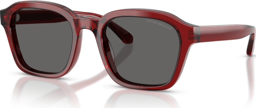EA 4245U 624887 54 Emporio Armani Güneş Gözlüğü