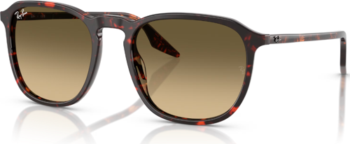 RB 2203 14290A 55 Ray-Ban Güneş Gözlüğü