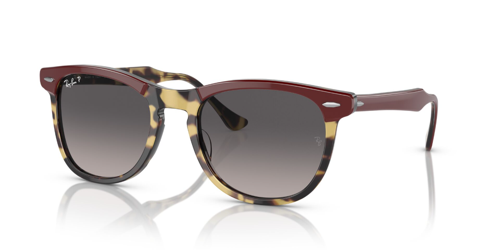 RB 2398 1377M3 53 Ray-Ban EAGLEEYE Polarize Güneş Gözlüğü