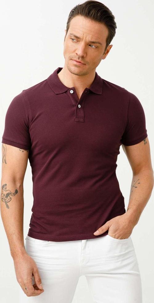Erkek Mürdüm  Polo Yaka Tişört