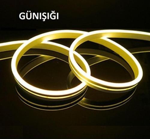 Ct-4555 5Mt 12V Günışığı Neon Led Hortum