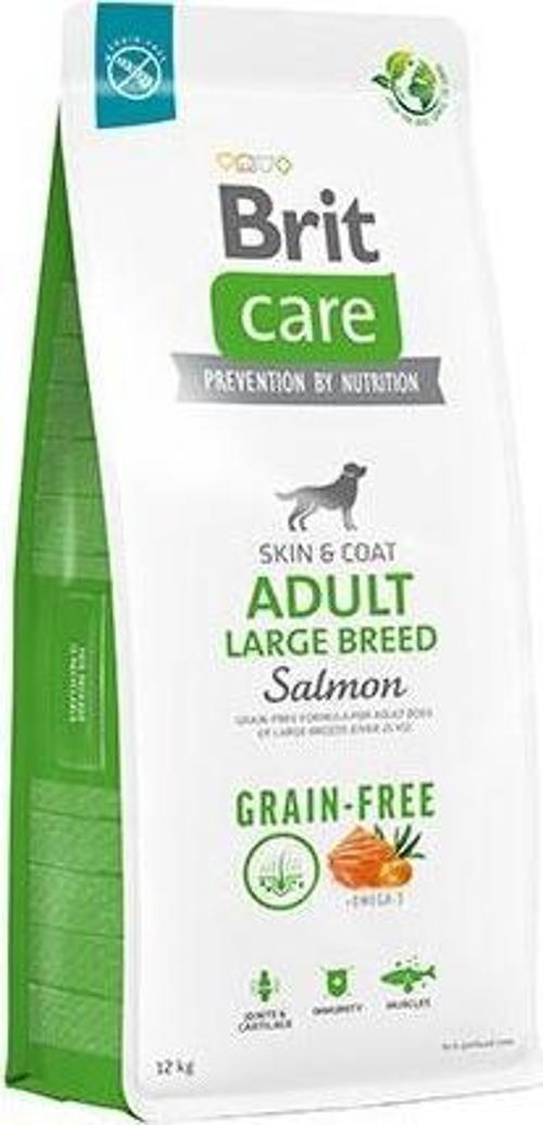 Skin Coat Adult Large Breed Somonlu Büyük Irk Tahılsız Yetişkin Köpek Maması 12 Kg