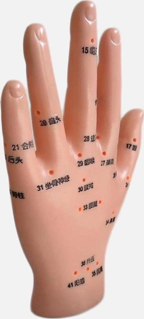 El Maketi Akupunktur Noktaları 835