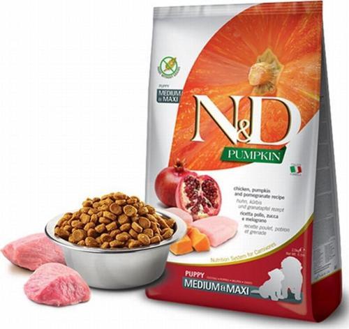 Pumpkin Balkabaklı Tavuk Narlı Orta Büyük Irk Yavru Köpek Maması 2,5 Kg
