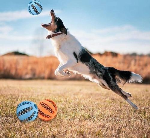 Mama Hazneli Köpek Eğitim Ve Oyun Topu