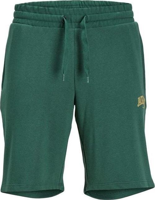 Jogger Fıt Rahat Kesım Şort