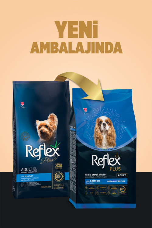 Plus Hipoalerjenik Mini ve Küçük Irklar için Somonlu Yetişkin Köpek Maması 8 kg