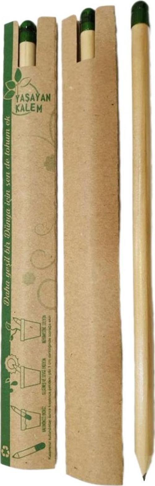 Tohumlu Yaşayan Kalem Yeşeren Kalem Tohumlu 12 Li