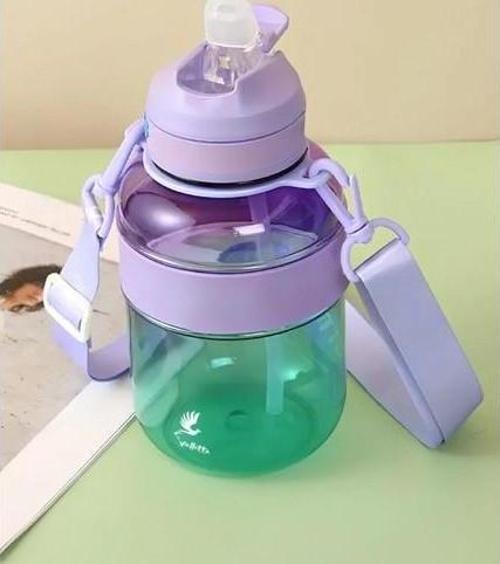 Vlt1642 Pagoda Su Matarası (Suluk) 1 Litre Mor