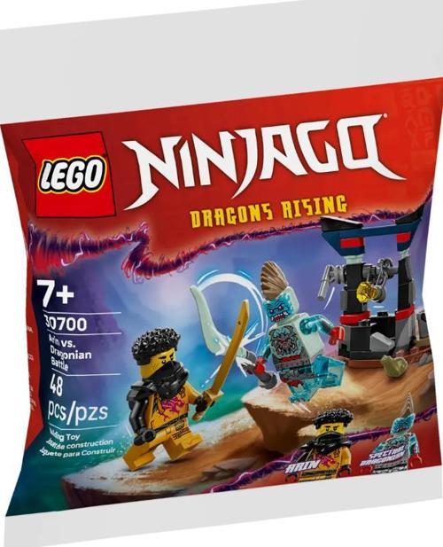 Ninjago Arin ile Ejderinsan Savaşı 30700