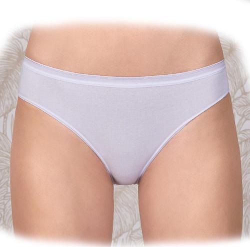 Kadın Modal 6 lı Külot Berrak-2320