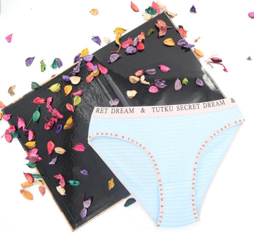 Dream Secret Bikini Slip