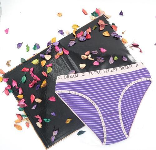 Dream Secret Bikini Slip