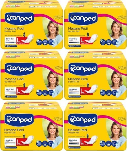 Mesane Pedi Klasik 6 Lı Set L-büyük Boy 60 Adet (6pk*10)