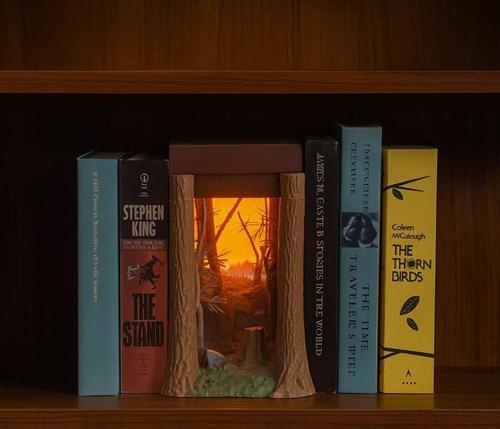 Aydınlatmalı Diorama Kitaplık Dekoru