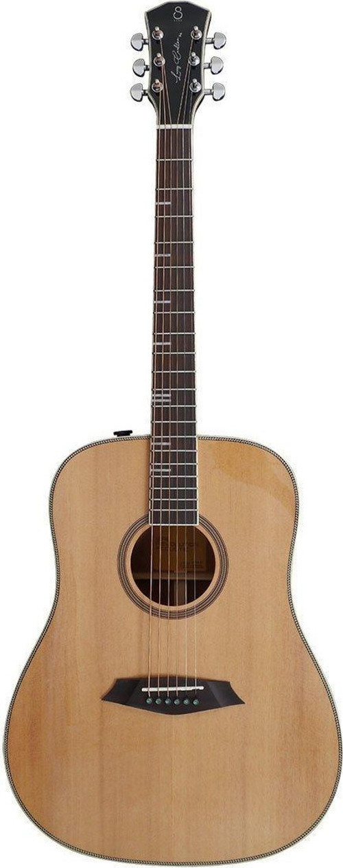 A4DS Larry Carlton Elektro Akustik Gitar NT