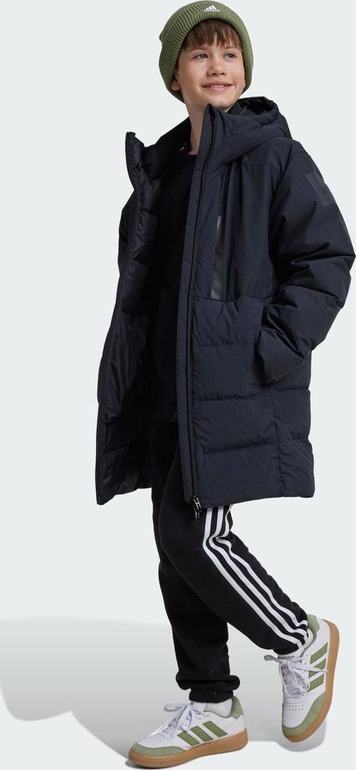 J MYSHELTER PKA