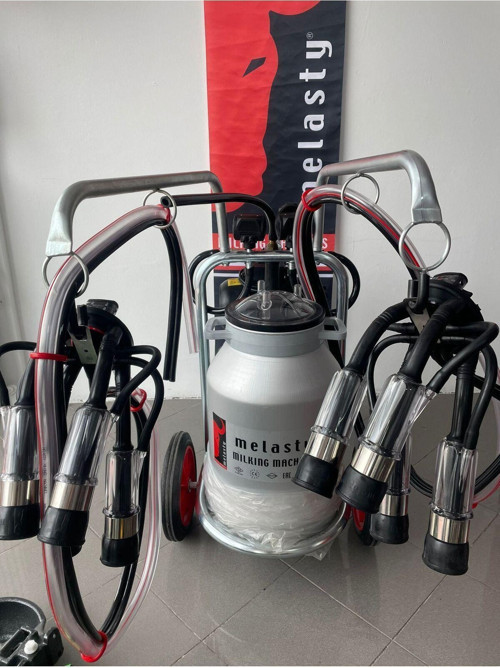 Süt Sağım Makinesi Çift Sağım Galvanizli Yağı Tip Alüminyum Güğüm 40Lt